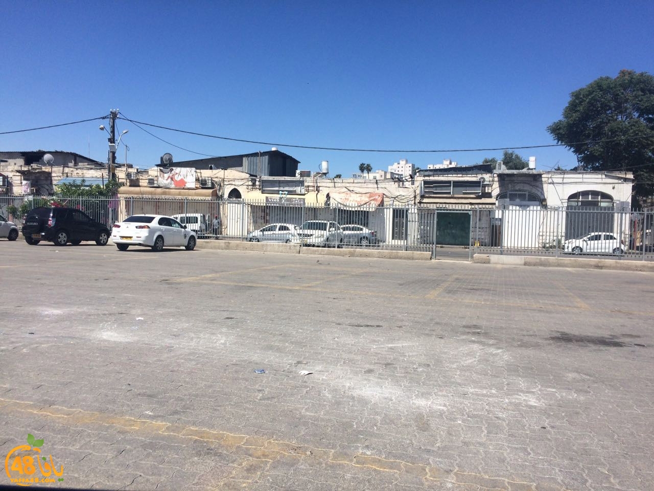 yaffa idrab ej (4).jpg